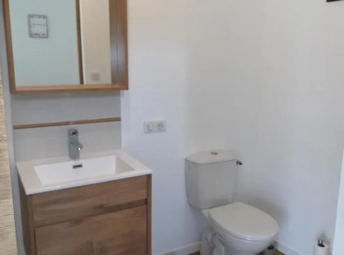 Le Moulin De Puyrouzeau Bed and breakfast *