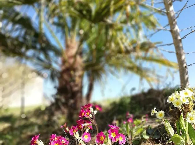 Le Moulin De Puyrouzeau Bed and breakfast *