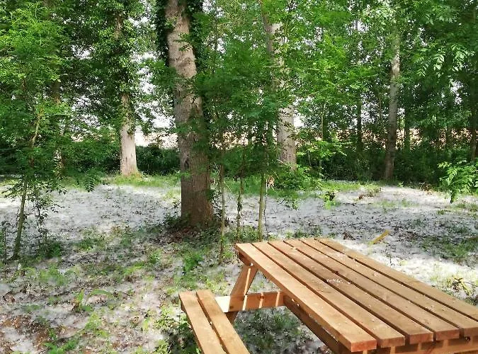 Le Moulin De Puyrouzeau Bed and breakfast *